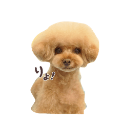 Bella_20251211181918