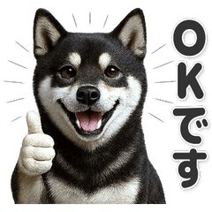 【敬語】使いやすい！黒柴