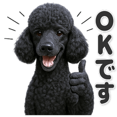 【敬語】使いやすい！スタンダードプードル