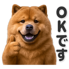 【敬語】使いやすい！チャウチャウ