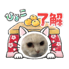 Start_20251212153537