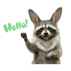 One！two！浣兔！