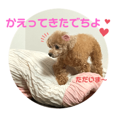 chawa_20251212163100