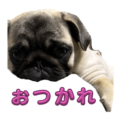 michan_20251212181723