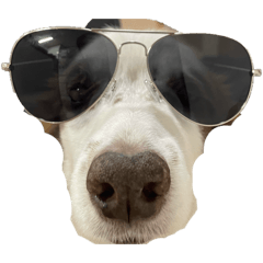 kotaro_20251212182106