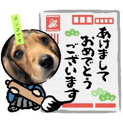 chiko_20251212193439