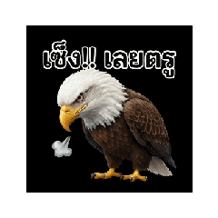 Nok Phaisal (clip eagle1)