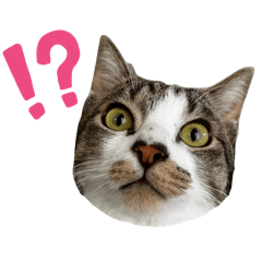 BAKIE_20251212185041