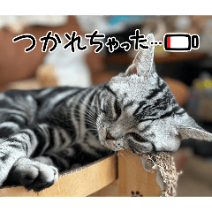 ponta_20251212165838