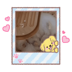 Sakura_20251212185645