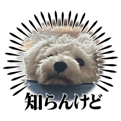 Michan._20251212185447