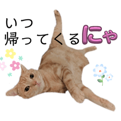 satoooo_20251212185441