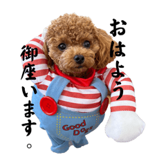 sgym_2025121217001122