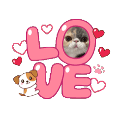 chris_20251213012641