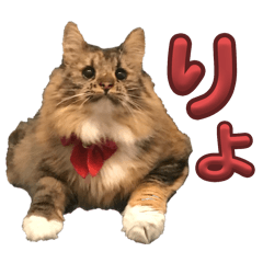 IWAMI RAMU_20251212170423