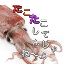 HanamizU_20251212171837