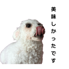 Aberu_20251212172203