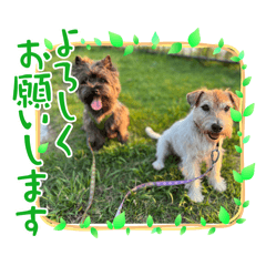 tetopetal_20251212171928