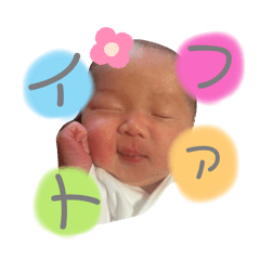 sakura_20251212223851