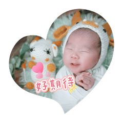 淮喬奇趣滿月特輯