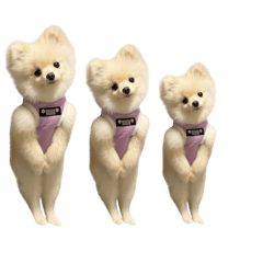 hiromi_20251212210827