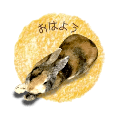 hayashi_20251212211431