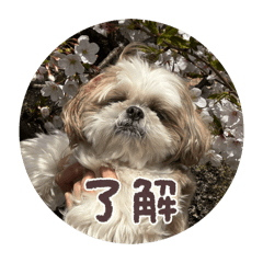 yuka_20251212221011