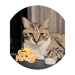 ryuya_20251212211035