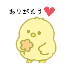 RisaP_20251213082046