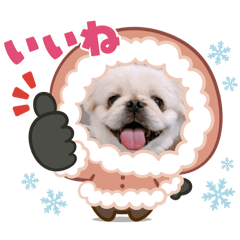 maaaaai_20251212213333