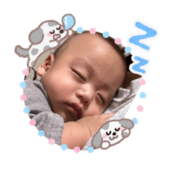 ringo_20251213003704