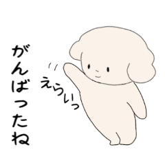 sachi_20251212235358