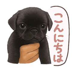 gonta_20251212235422