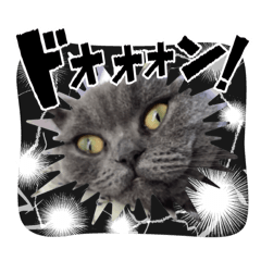 Kimily_20251213090825