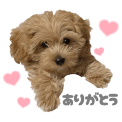 Omori Chikako_20251213022114