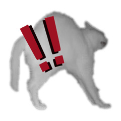 Koharu_20251213023615