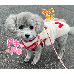 takeshi_20251212230343