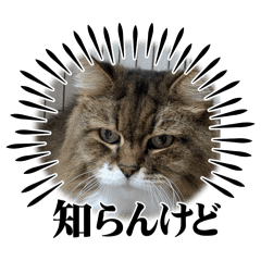 gu-chan_202512131156