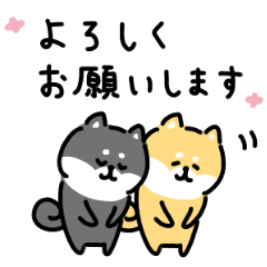 loose shibainu sticker 6 polite