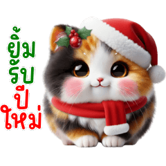 แมวน้อยสามสี calico cat น่ารัก ชุดปีใหม่