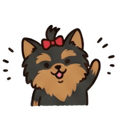 Salsa the Yorkie V.8