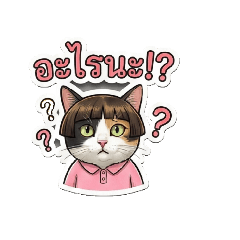 cat tree colour_20251212201112