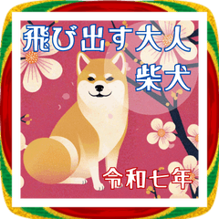 飛び出す！可愛い柴犬お正月2026