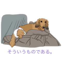 nigauryyy_20251211221637