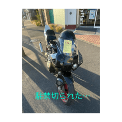 chin chin_20251213101049