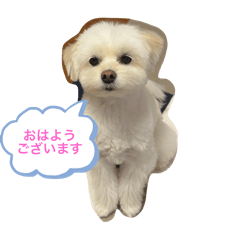 ALICE_20251213093742