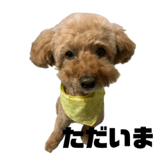 kotone_20251213110745