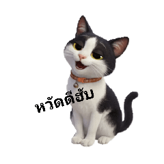 NAPAT_20251213113816