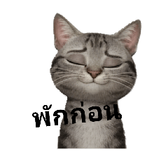 NAPAT_20251213115138