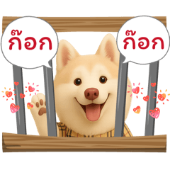 Cinnamon The Husky - Cute and naughty